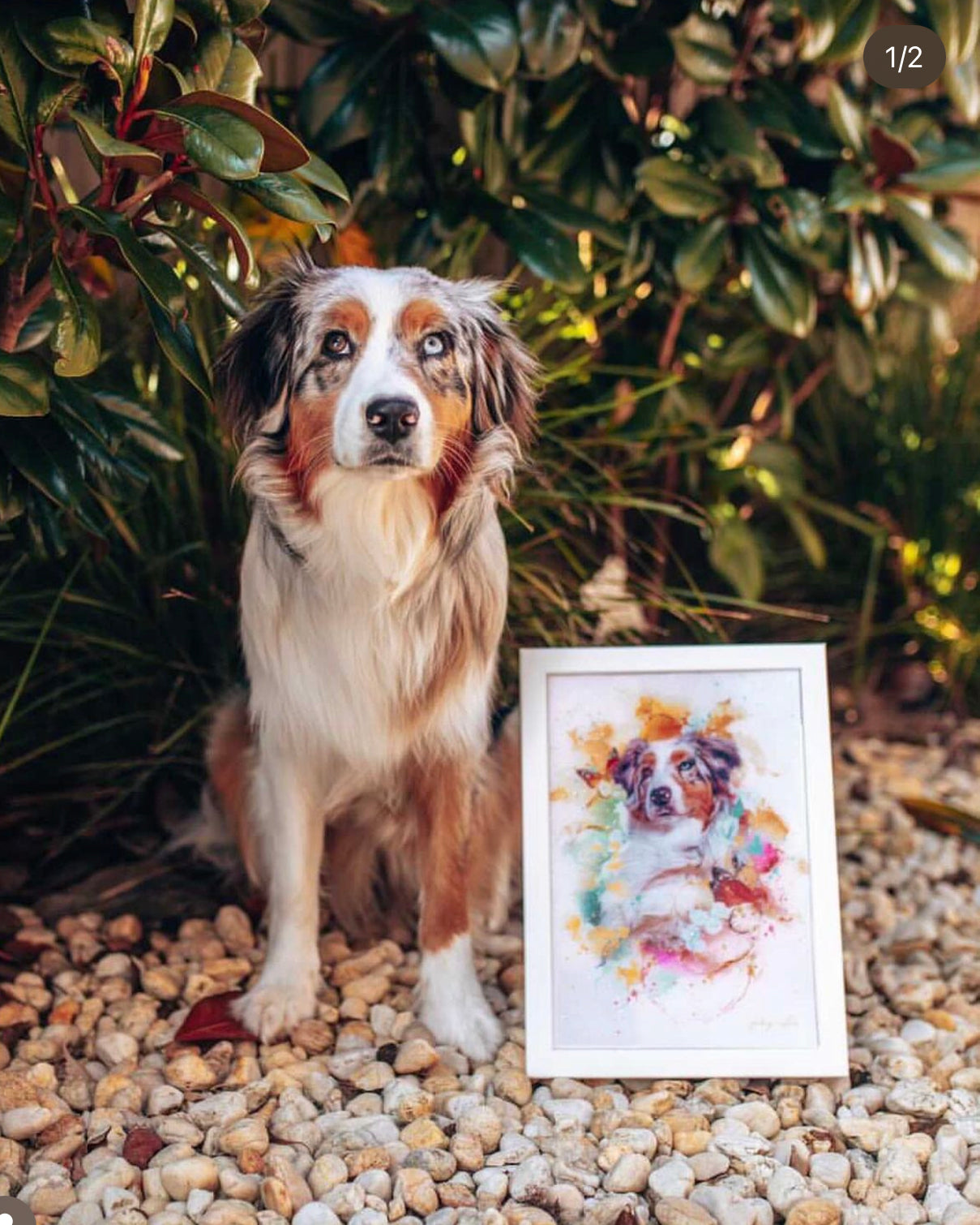 Resin Framed Print