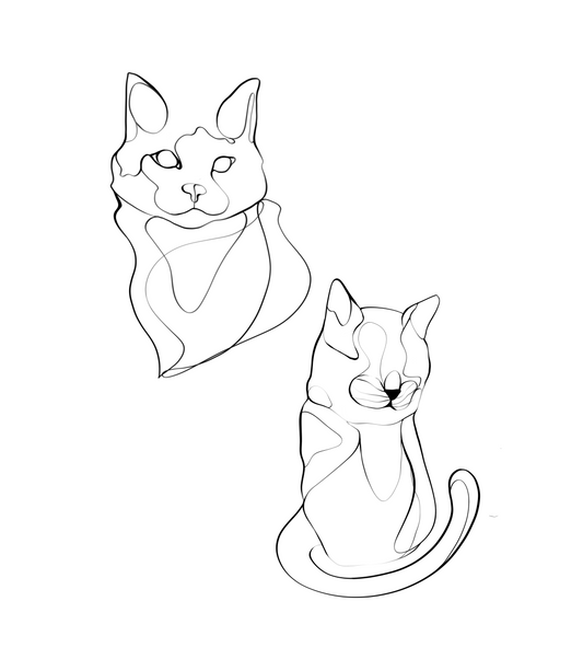 Custom Line Drawings